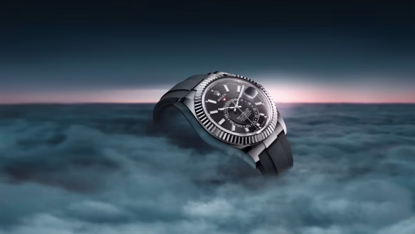 スカイドゥエラー
オイスター、42 mm、ホワイトゴールド
リファレンス 336239